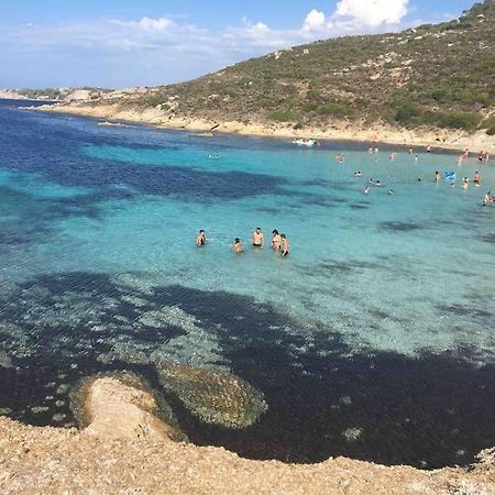 Exceptionnelle Vue Mer Calvi - Piscine - T2 Extérieur photo