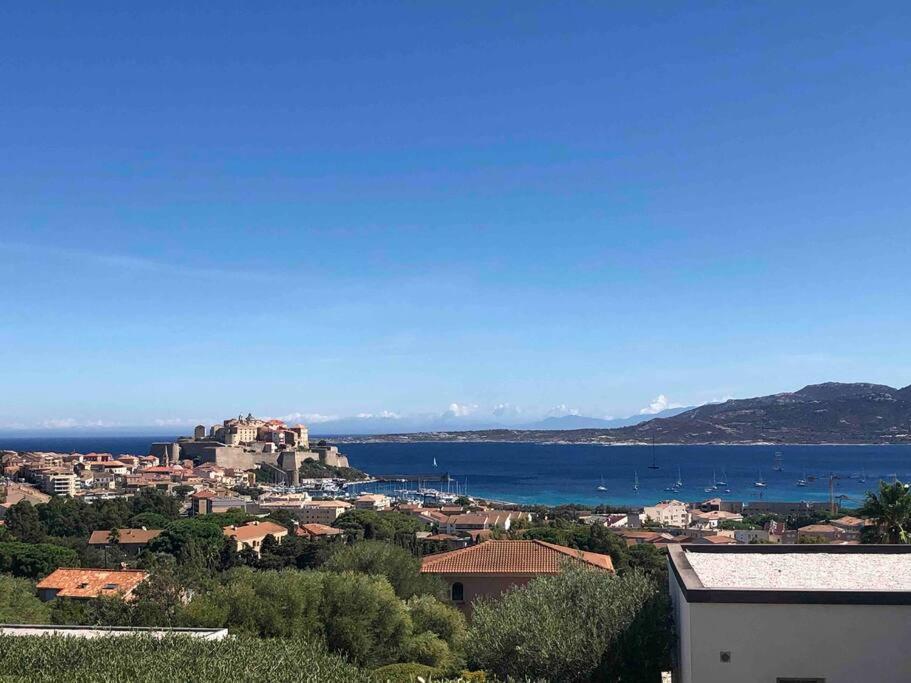 Exceptionnelle Vue Mer Calvi - Piscine - T2 Extérieur photo