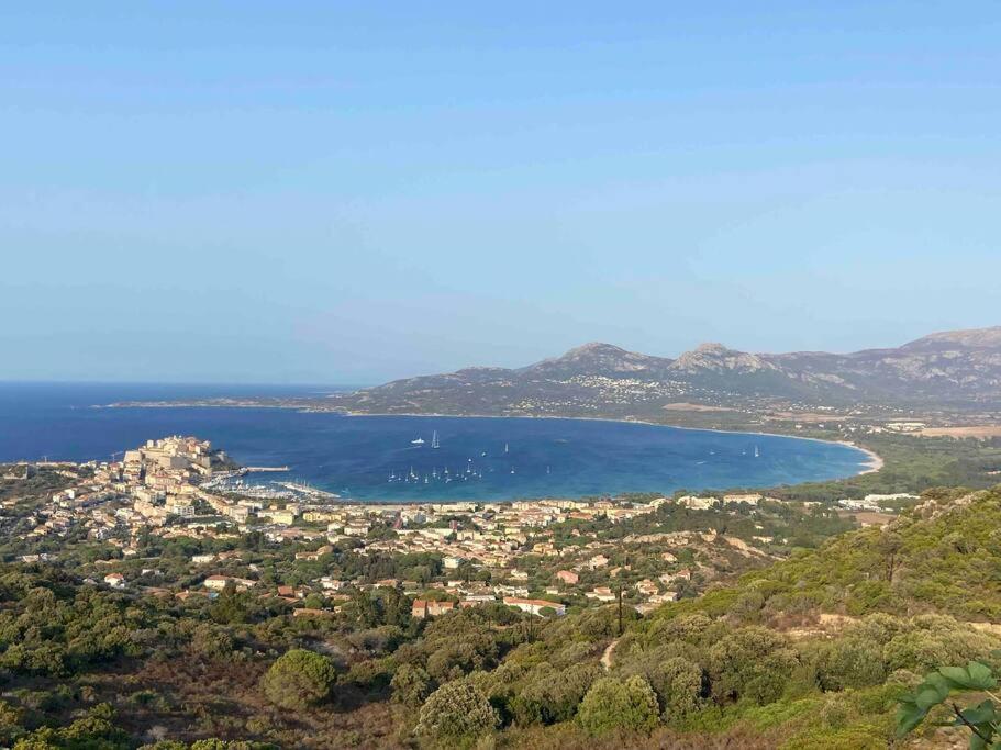 Exceptionnelle Vue Mer Calvi - Piscine - T2 Extérieur photo