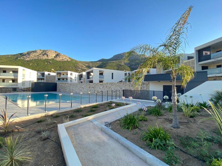 Exceptionnelle Vue Mer Calvi - Piscine - T2 Extérieur photo